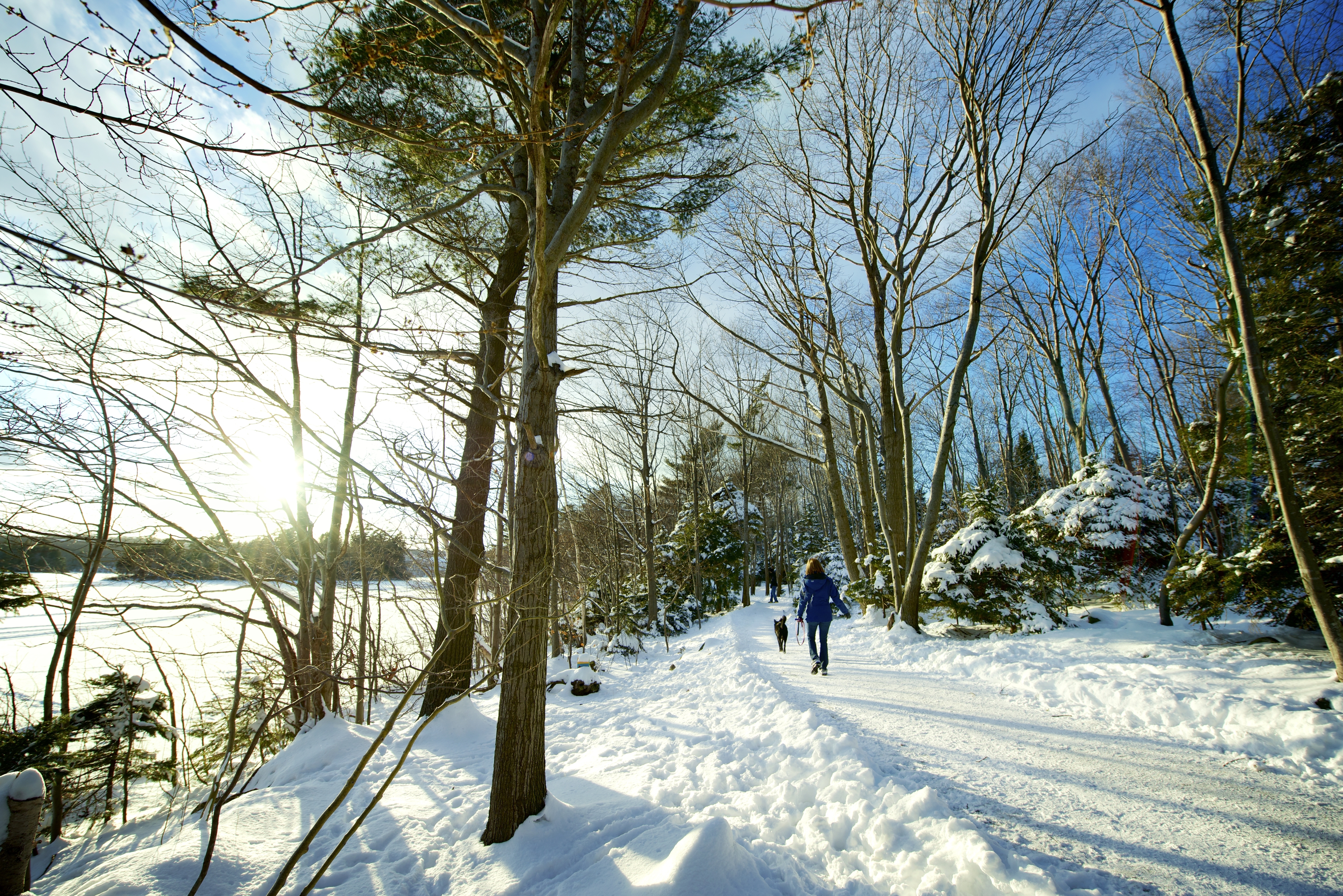 Point Pleasent Park in the Winter